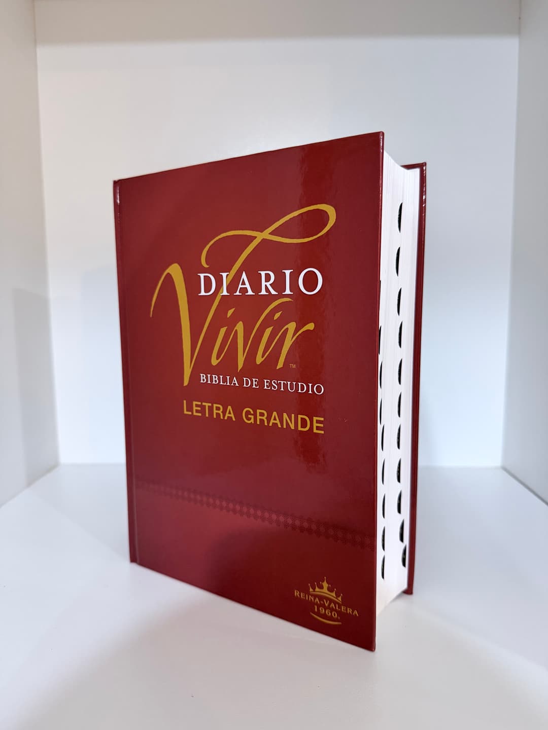 Biblia de Estudio Diario Vivir vino tinto LG TD ÍNDICE