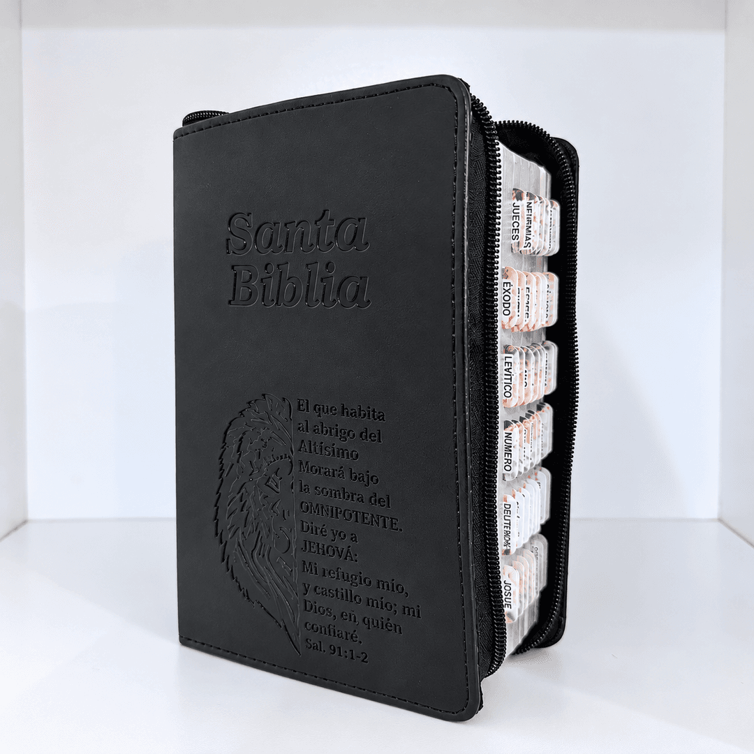 Biblia RVR1960 Letra Gigante + estuche + índice 3D + resaltador