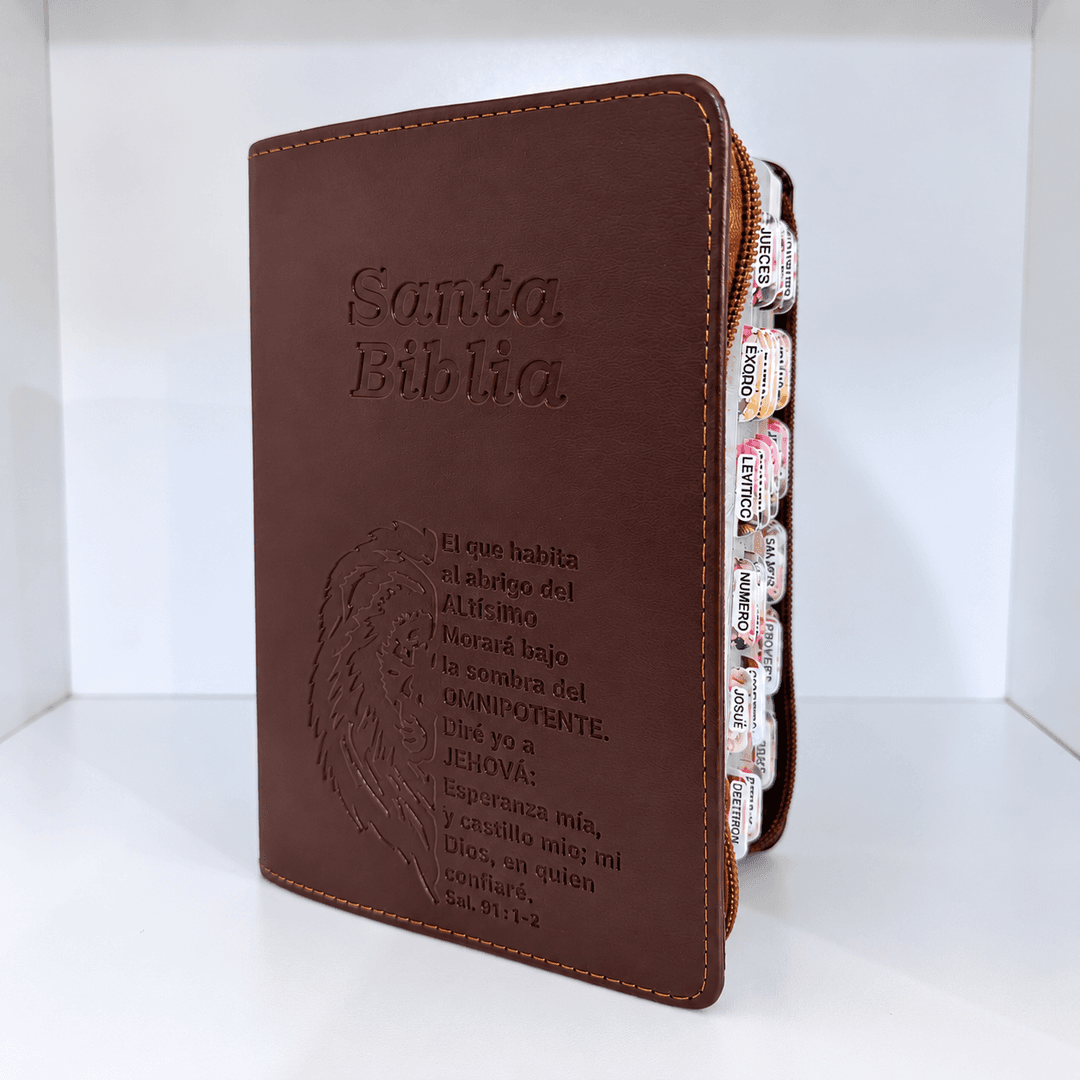 Biblia RVR1960 Letra Gigante + estuche + índice 3D + resaltador — Marrón